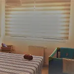 Aps La Deva De