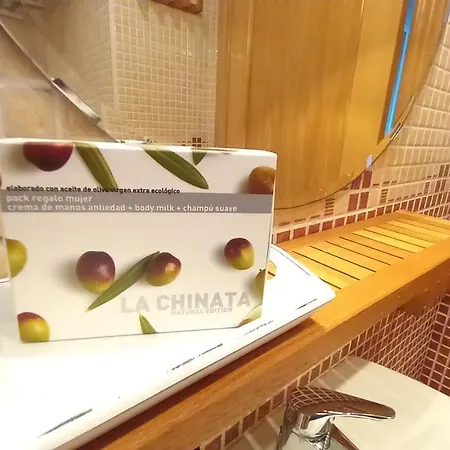 Aps La Deva De סלינאס